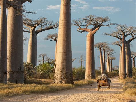 The 50 Most Beautiful Places in Africa .